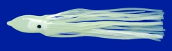 Octopusse
